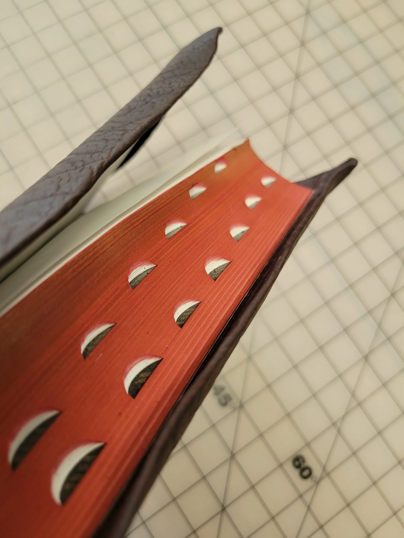 Art guilding (adding color over guilded edges, shown here in red).  Note: existing guilding must not be worn or scratched.